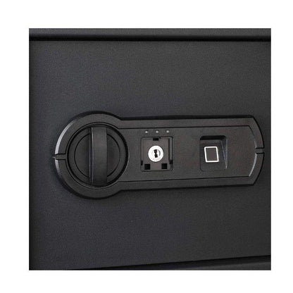 Steel Home Security Safe with Programmable Biometric Fingerprint Lock, Secure Cash, Jewelry, ID Documents, 14 L, Black, 35 cm W x 24. 9 cm D x 24. 9 cm H - al-zeb-store